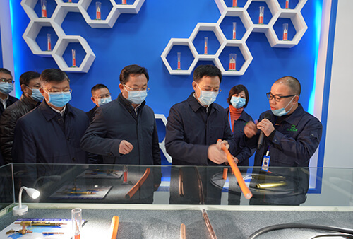 中共荊門市委書記王祺揚，副書記、市長孫兵來公司檢查指導工作