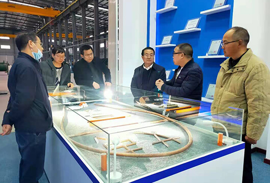 荊門市經(jīng)信局劉德舜局長來公司考察調(diào)研