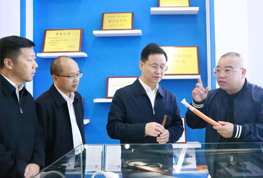 中共荊門(mén)市委副書(shū)記、荊門(mén)市人民政府陳家偉市長(zhǎng)蒞臨湖北艾克電纜調(diào)研指導(dǎo)工作！